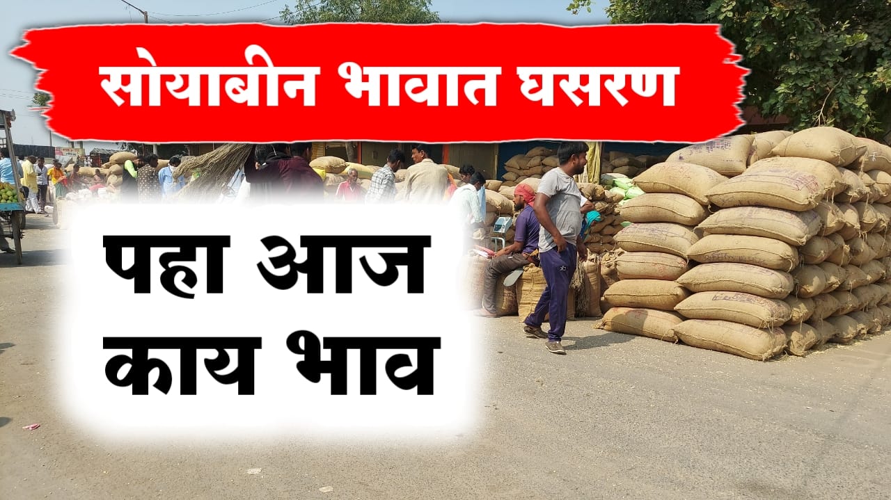सोयाबीन भाव today