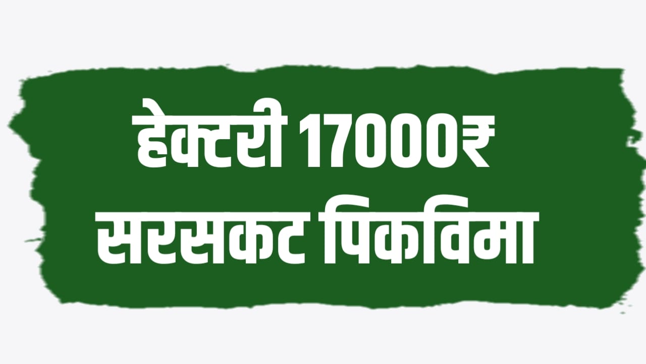 हेक्टरी १७,०००