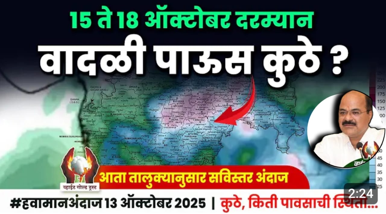 राज्यातील या भागात वादळी