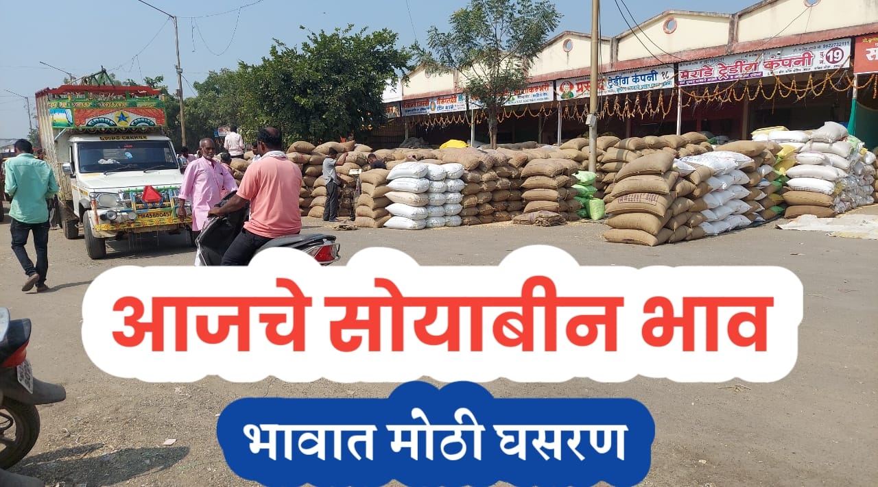 सोयाबीन भाव