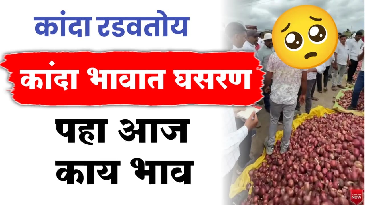 कांदा भाव ; सध्या काय