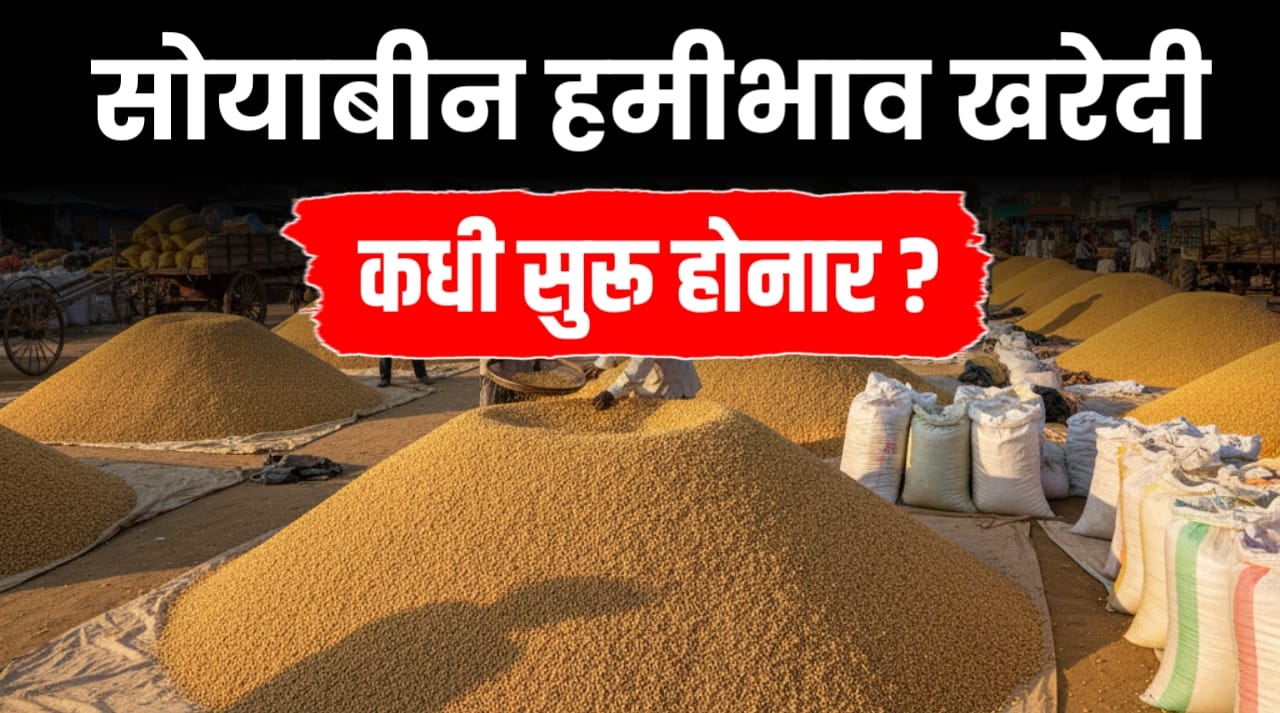 सोयाबीन हमीभाव खरेदी कधी